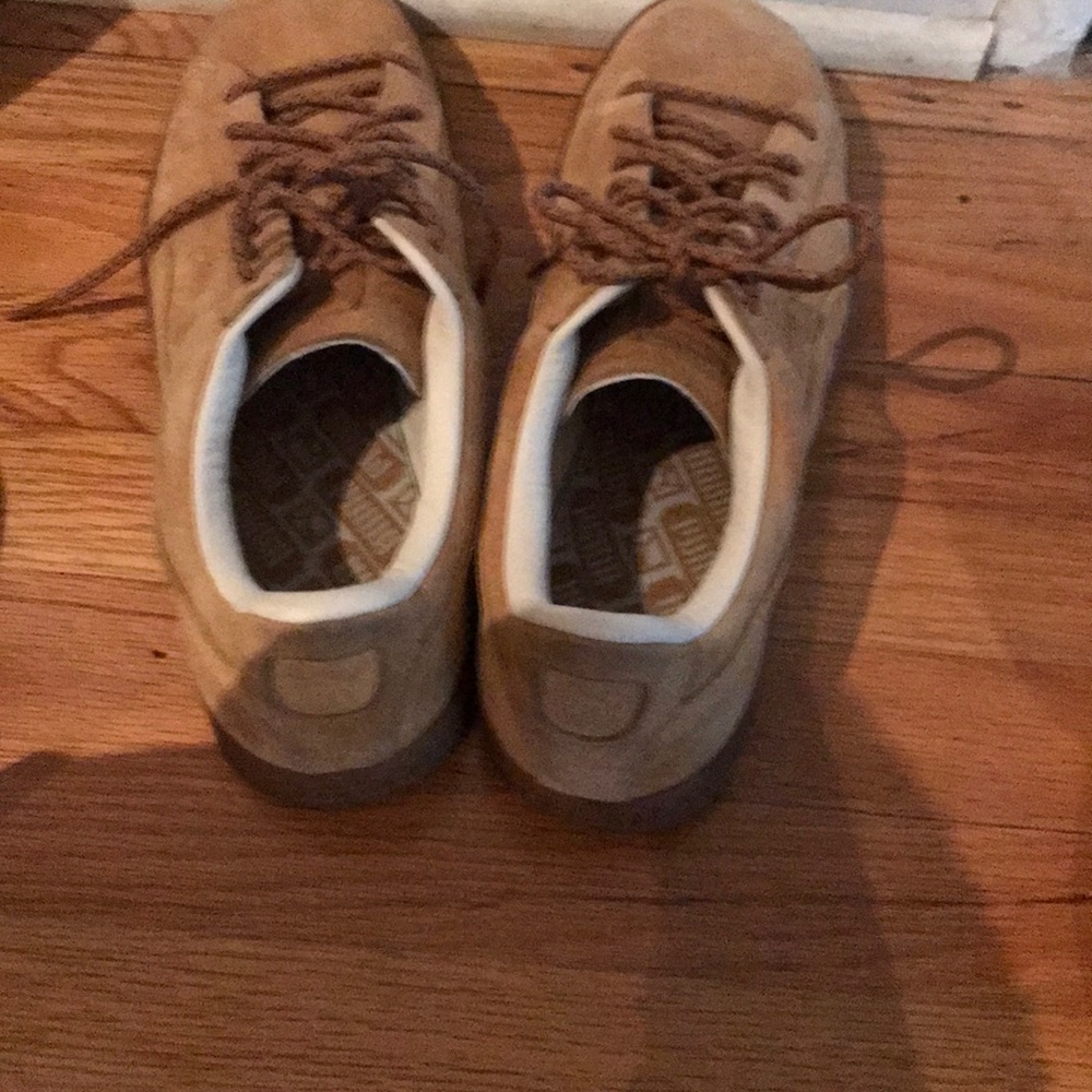 Pumas - Picture 3 of 4